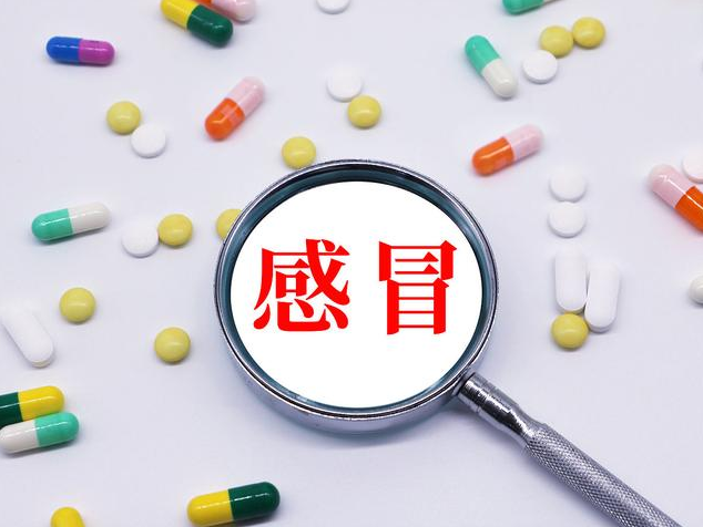 QQ圖片20231111121827.png