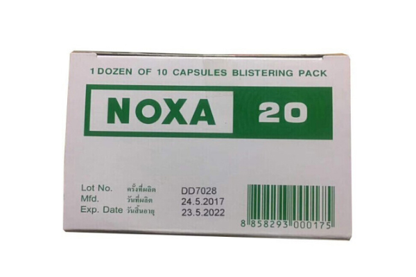 娜莎noxa20
