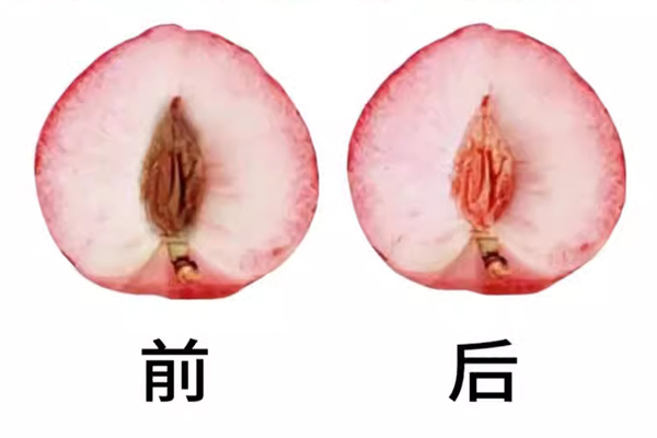嫩紅素推薦！舒奈美牌私密嫩紅素介紹