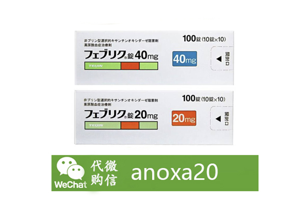 日本帝人非布司