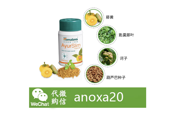 Ayurslim減肥膠囊