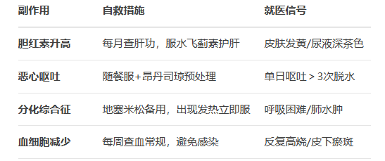 恩西地平說明書